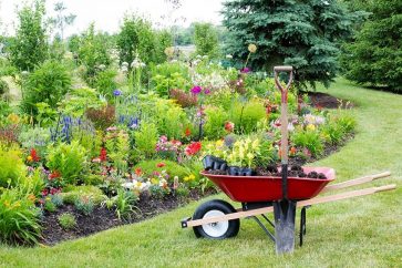 Top Green Landscaping Tips for Beginners - BackyardWorkshop.com