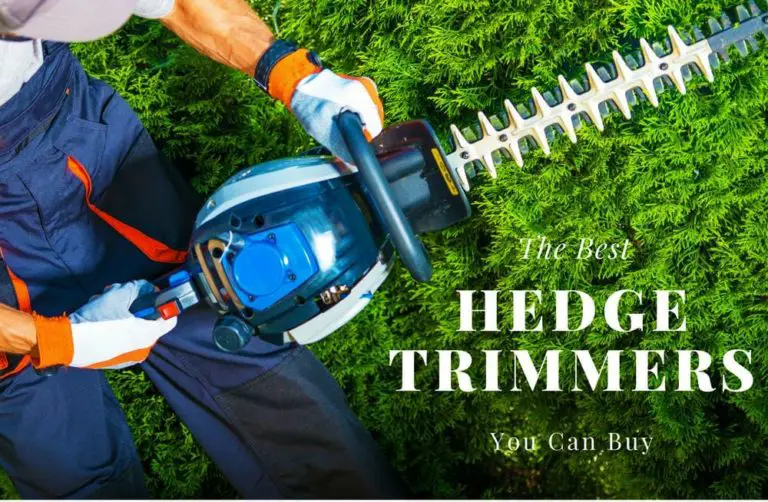 The Best Hedge Trimmers You Can Own Today