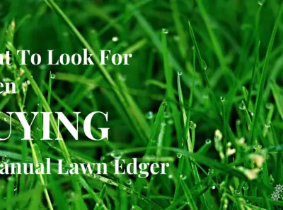 What To Look For When Buying A Manual Lawn Edger