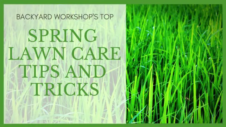 Spring Lawn Care Tips and Tricks