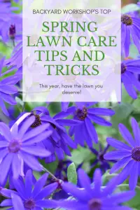 springtime lawn hacks