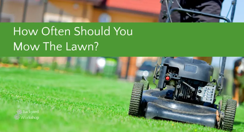 How Often Should You Mow The Lawn? Here's Our Cut - BackyardWorkshop.com