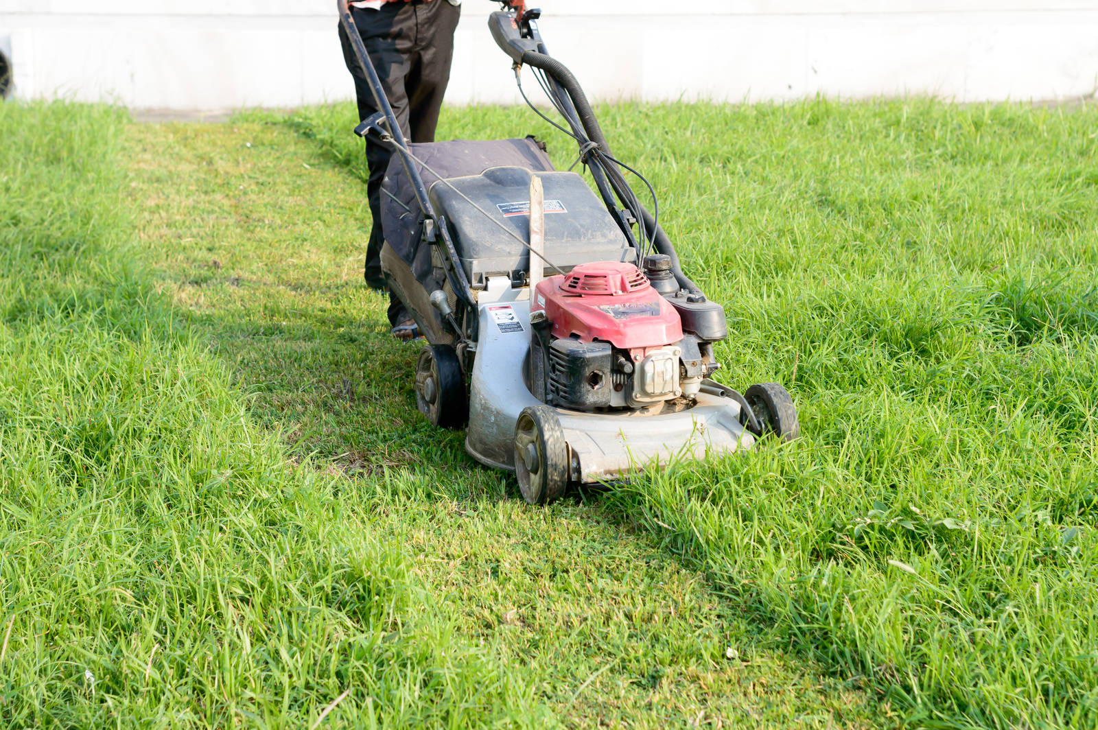 Help! Why Is My Lawn Mower Leaving Uncut Grass? - BackyardWorkshop.com