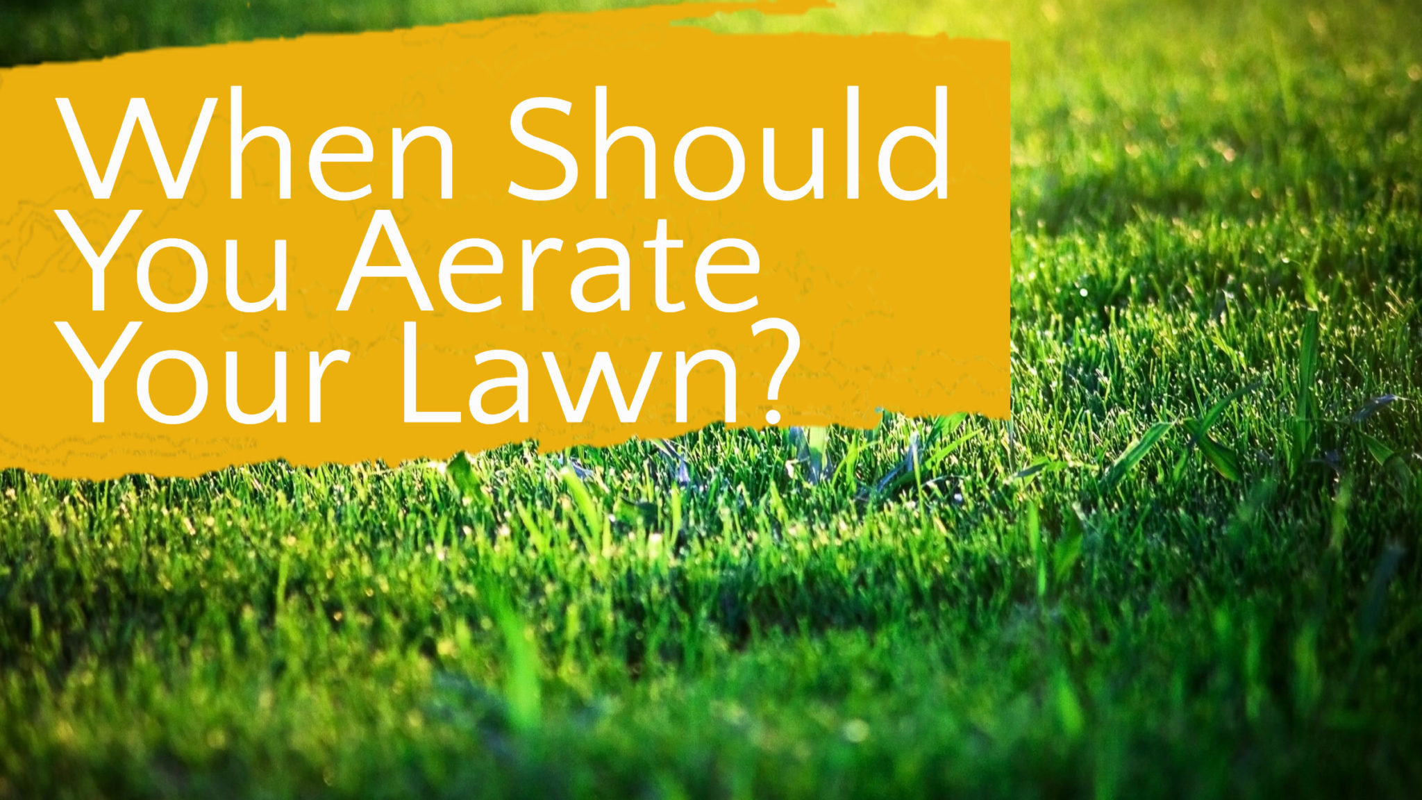 How Often Should You Aerate Your Lawn? - BackyardWorkshop.com